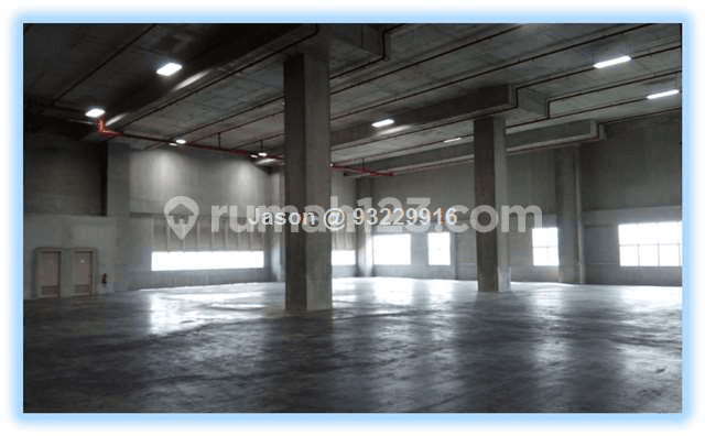 Warehouse| Pioneer |Ramp Up| Ceiling 8m| Loading B