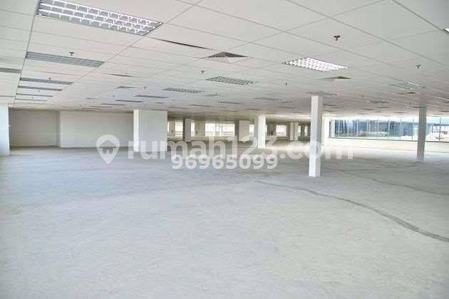 Modern buildings, offering regular unit sizes at International Business Park