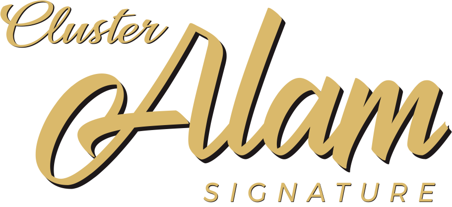 logo-developer