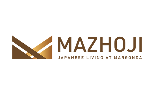 logo-developer