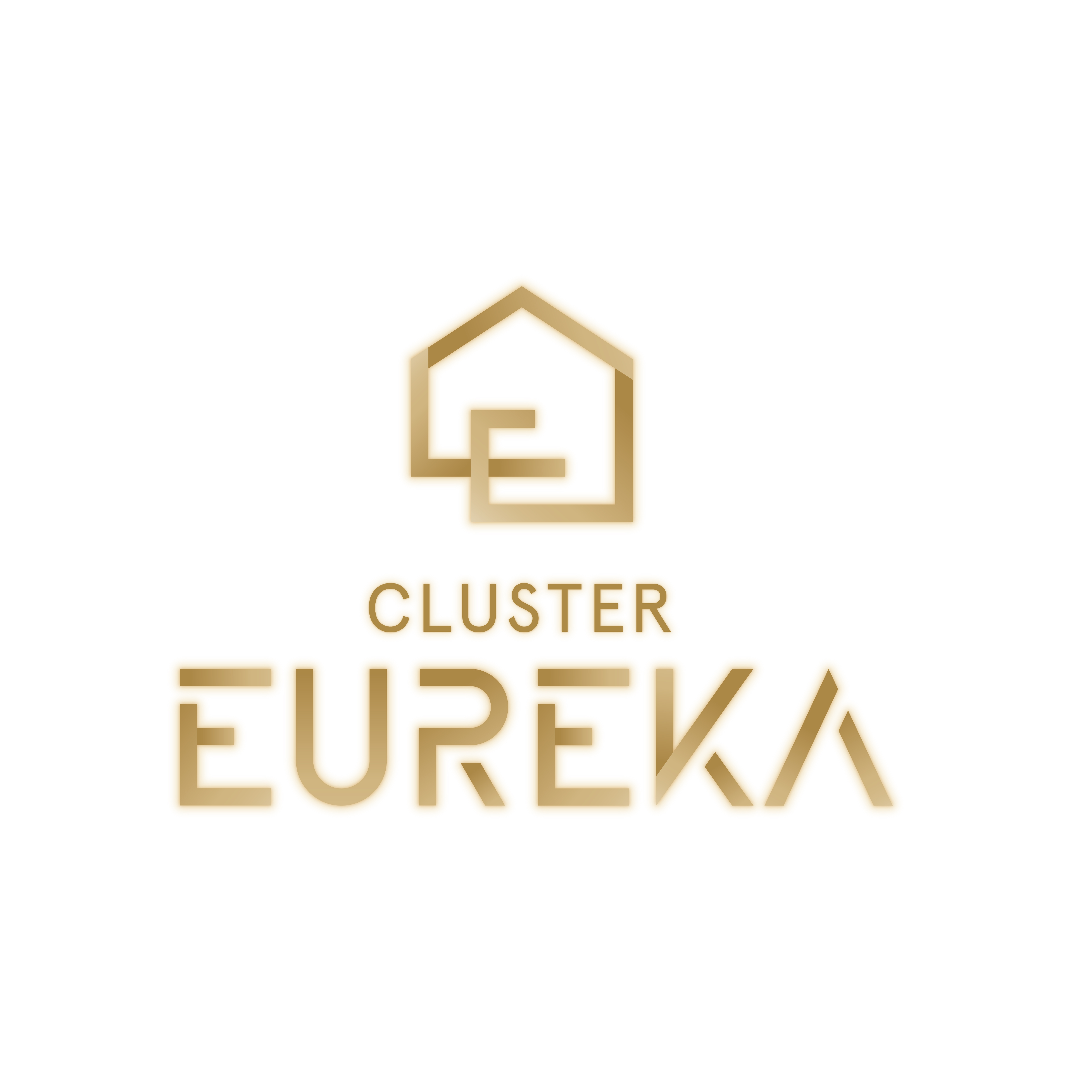 logo-developer