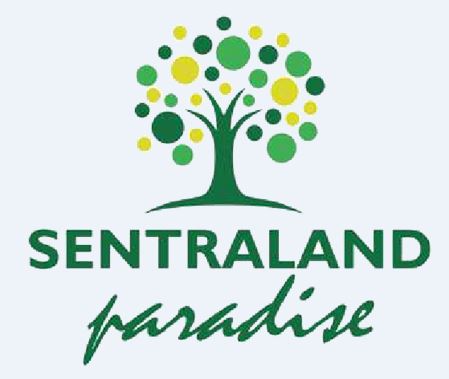 logo-developer
