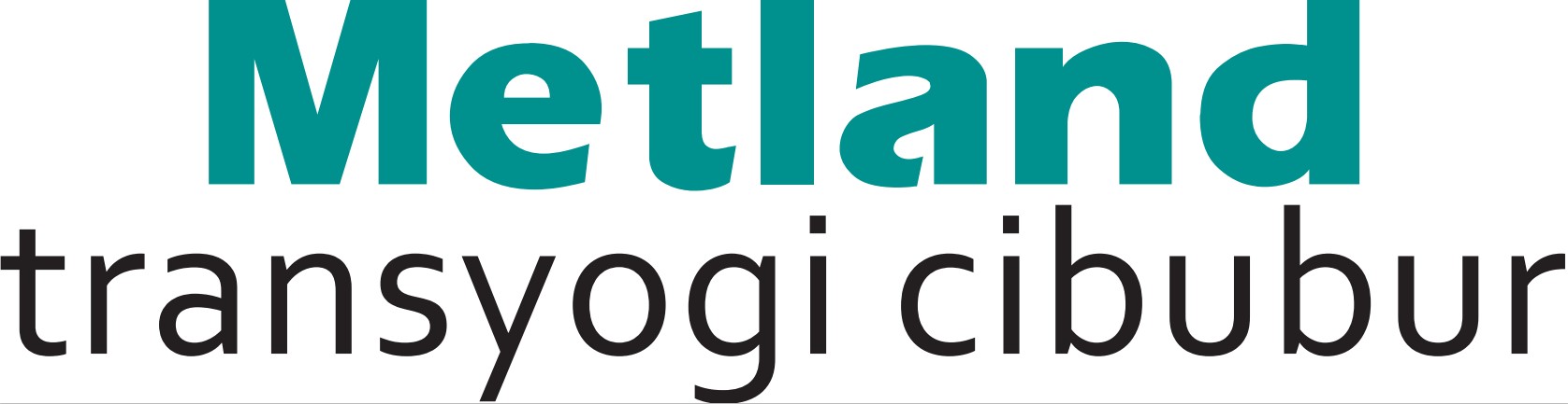 logo-developer