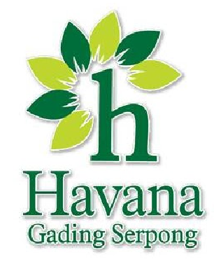 logo-developer