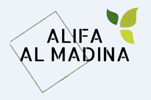logo-developer