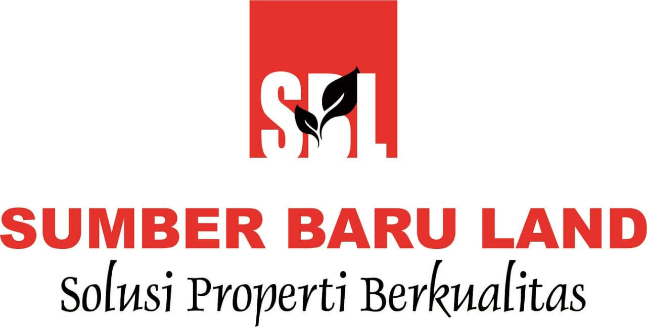 logo-developer