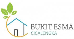 logo-developer