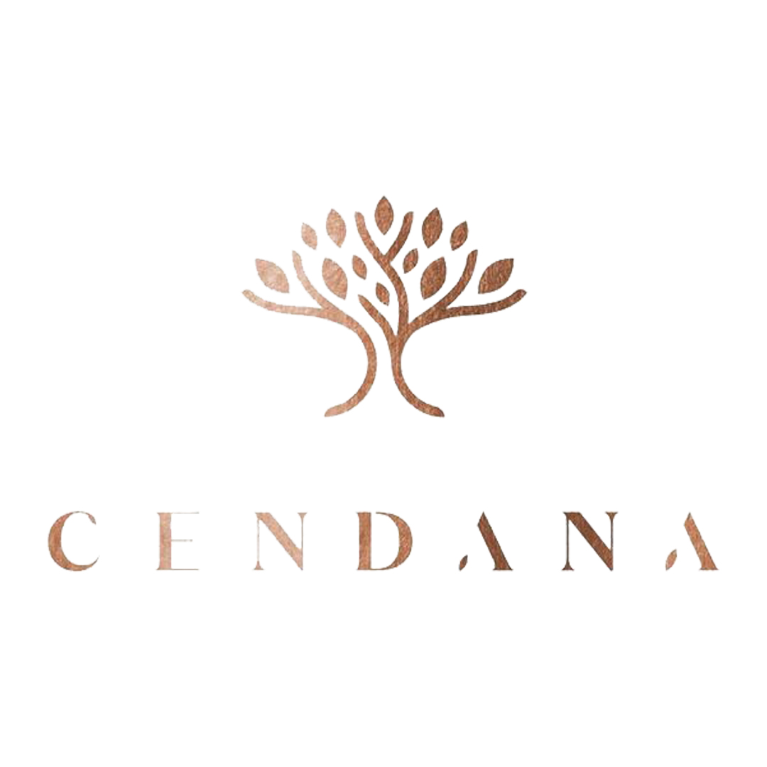 logo-developer