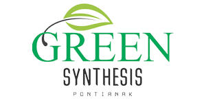 logo-developer