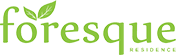logo-developer