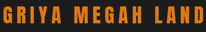 logo-developer