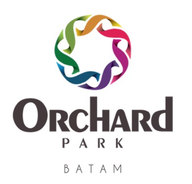 logo-developer