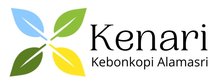logo-developer