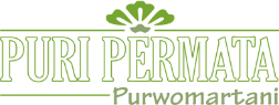 logo-developer