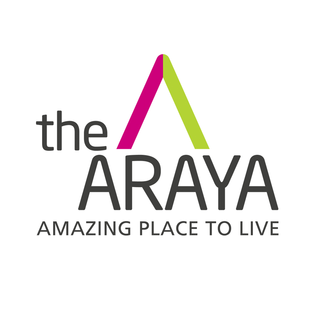 logo-developer