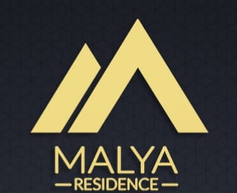 logo-developer
