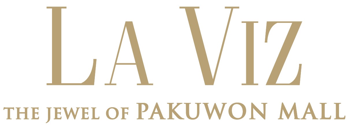 logo-developer