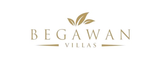 logo-developer