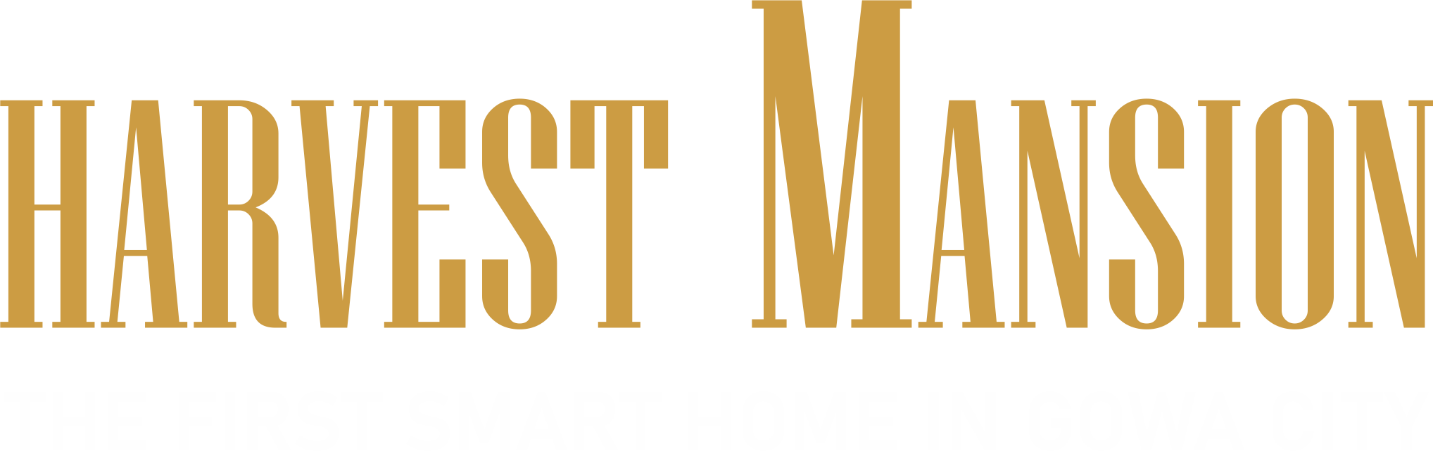 logo-developer