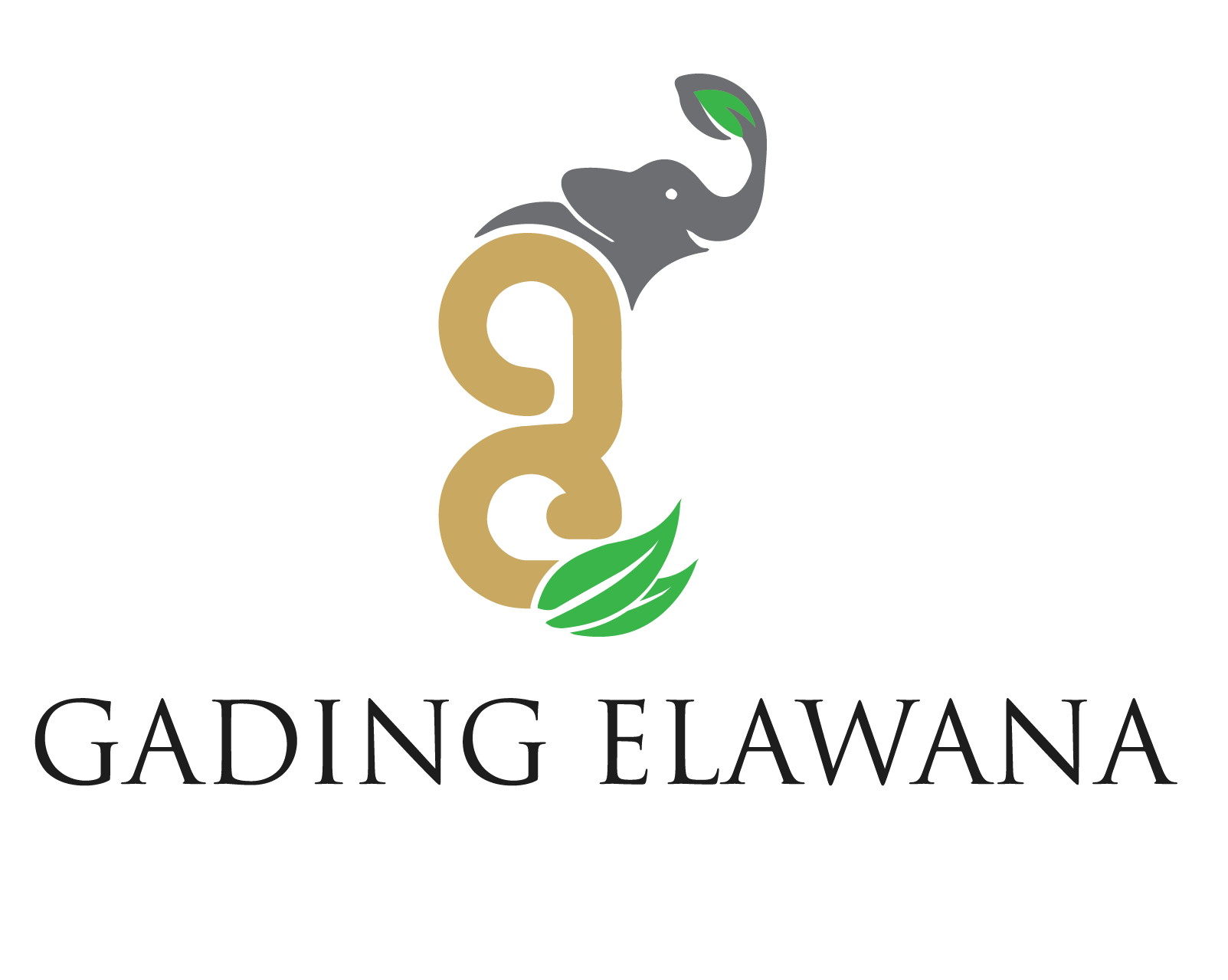 logo-developer