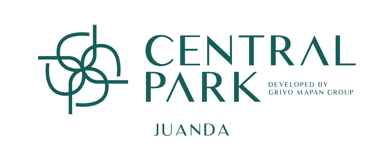 logo-developer