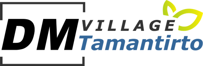 logo-developer
