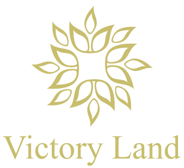 logo-developer