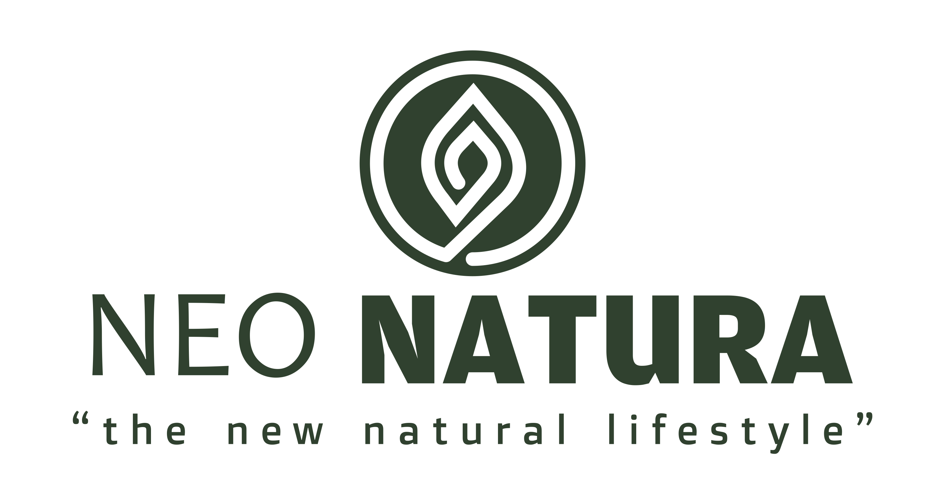 logo-developer