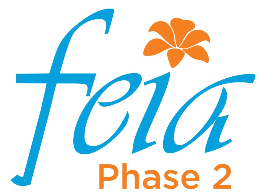 logo-developer