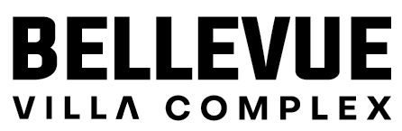 logo-developer
