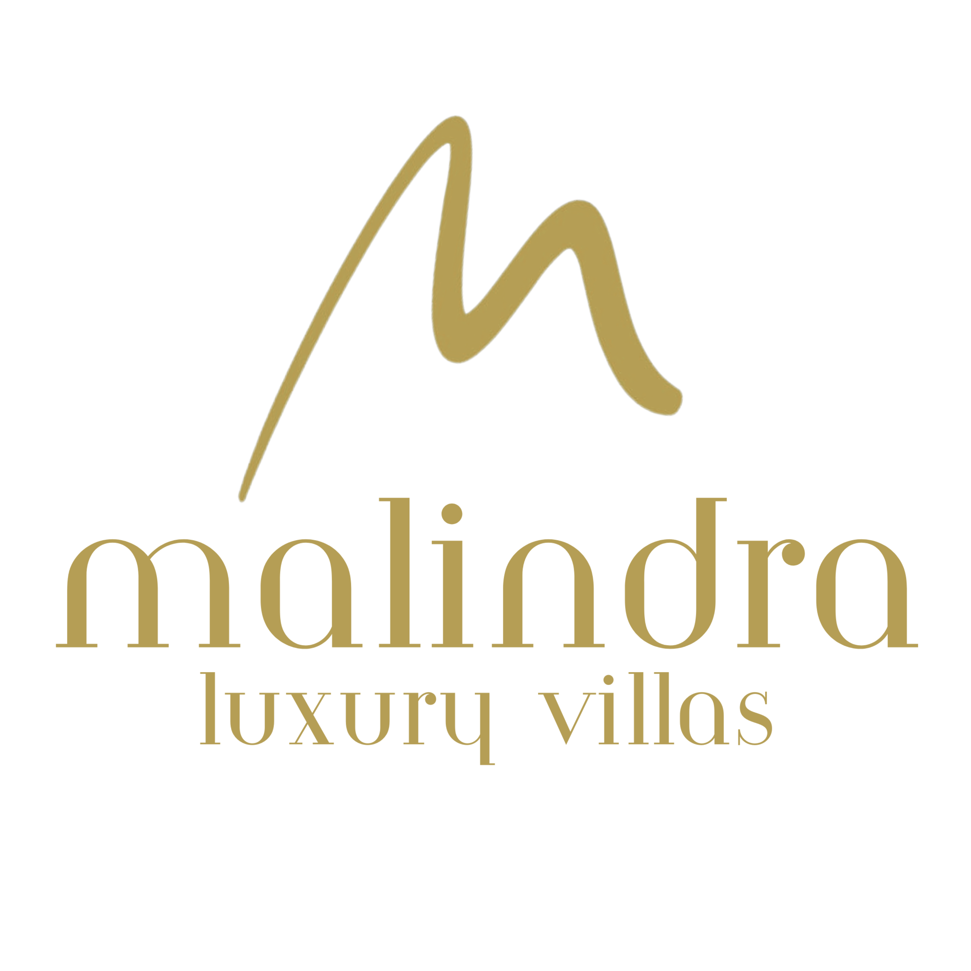 logo-developer