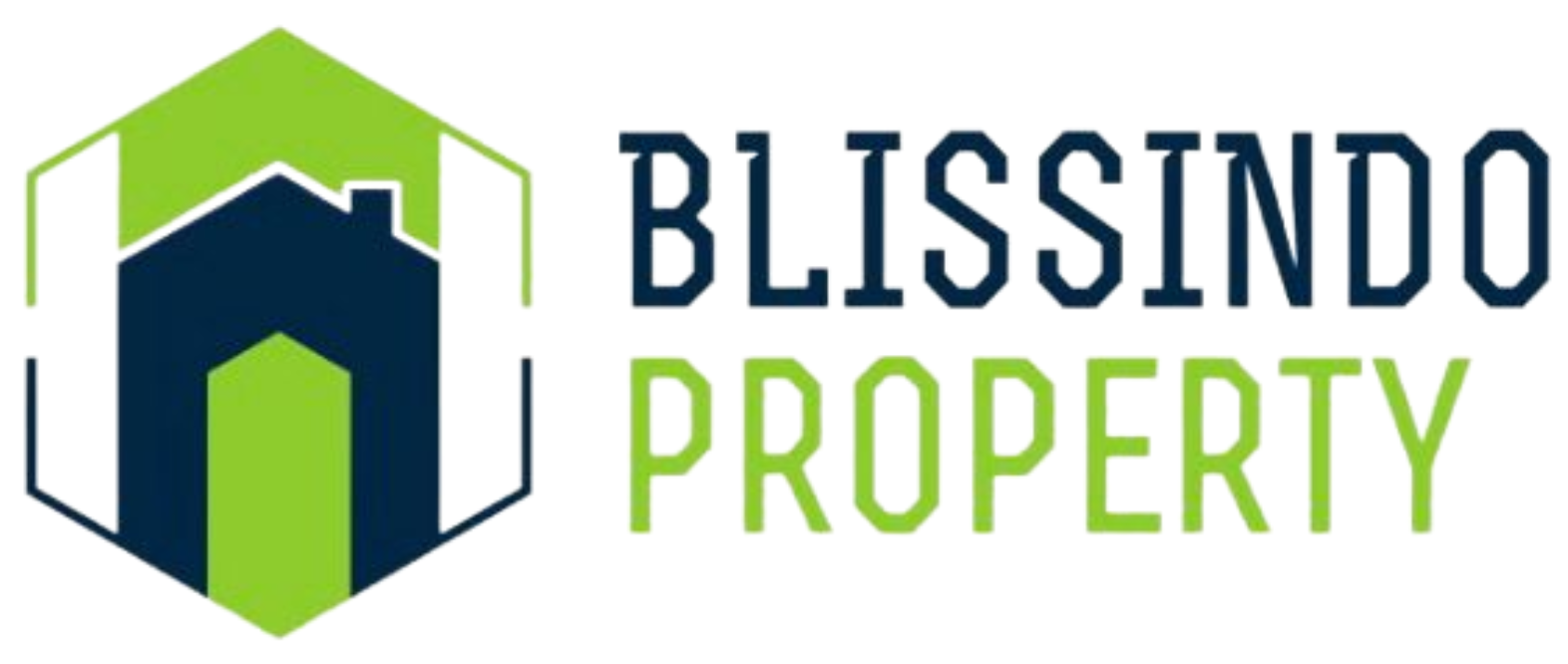 logo-developer