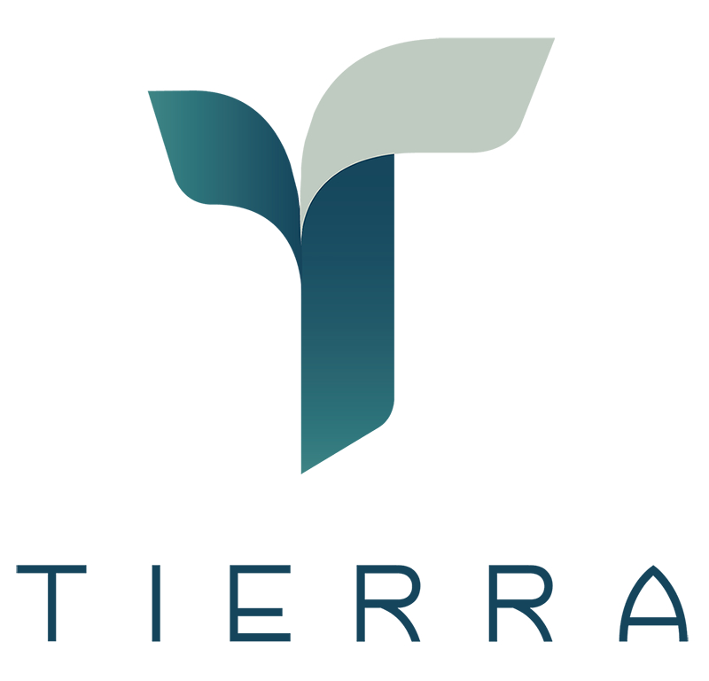 logo-developer