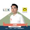 Amir Link property 