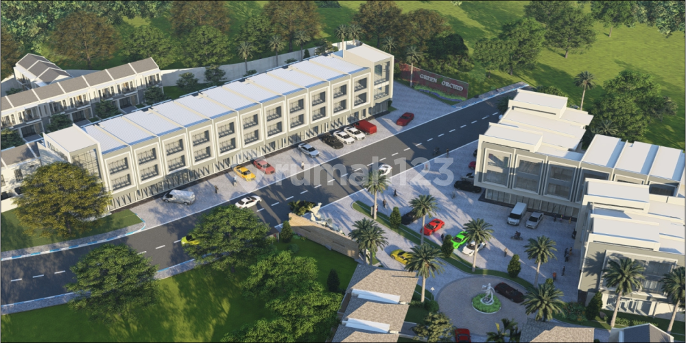 Green Orchid - Image 2