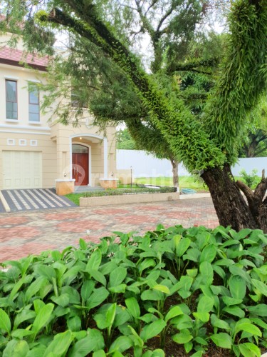 Villa City Garden - Image 7