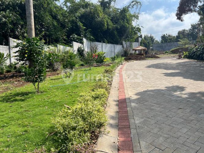 Forest Hill - Image 9