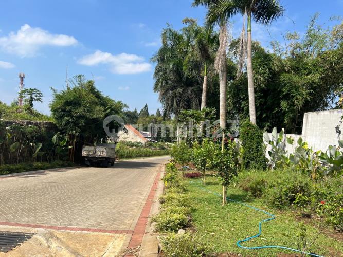 Forest Hill - Image 8