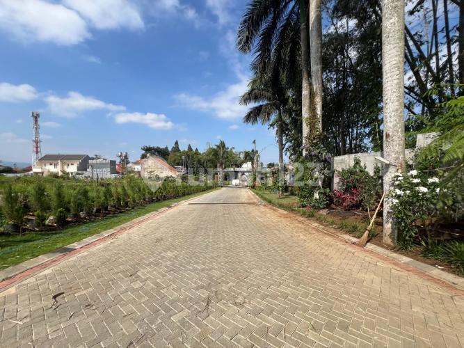 Forest Hill - Image 10