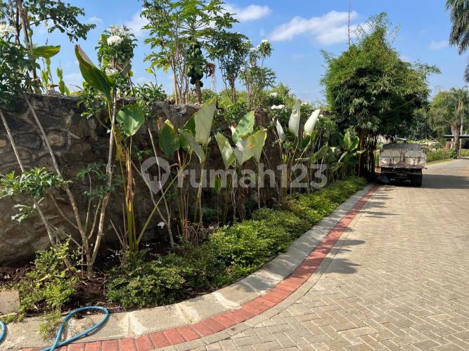 Forest Hill - Image 6