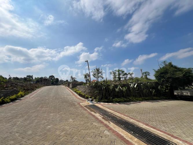 Forest Hill - Image 7