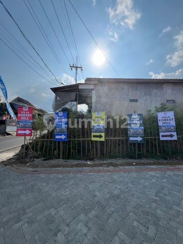 Forest Hill - Image 2