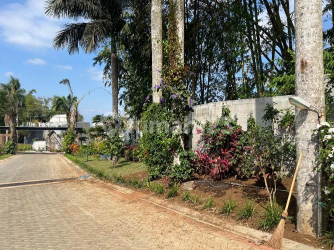 Forest Hill - Image 4