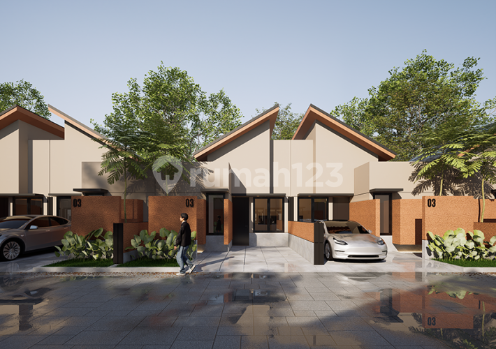 Terra di Sinbad Alama