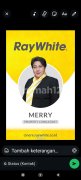 Merry Rwc