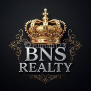 BNS REALTY 5 