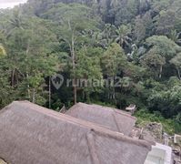 Vila Sewa jangka Panjang Vew Menawan Diubud