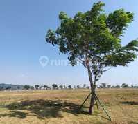 Best Deal, Kavling Komersial Pik 2 Luas 2400m2 Posisi Bagus