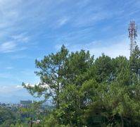 Villa Dengan Kolam Renang Dan View Alam