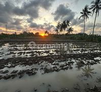 Villa Leasehold 30 Tahun View Sawah Dan Sunset Siap Huni